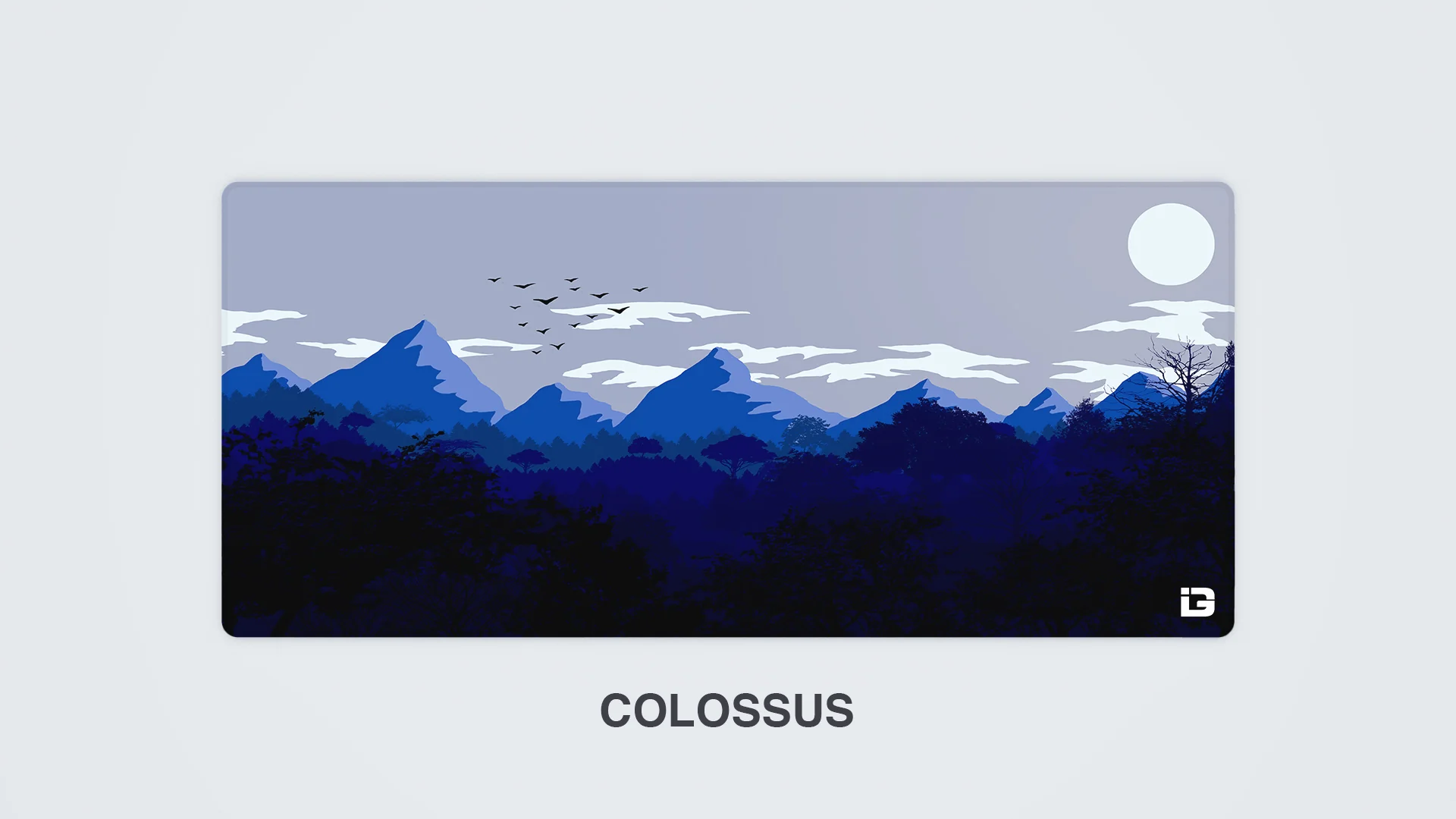 Gulls - Sunset - Image 12