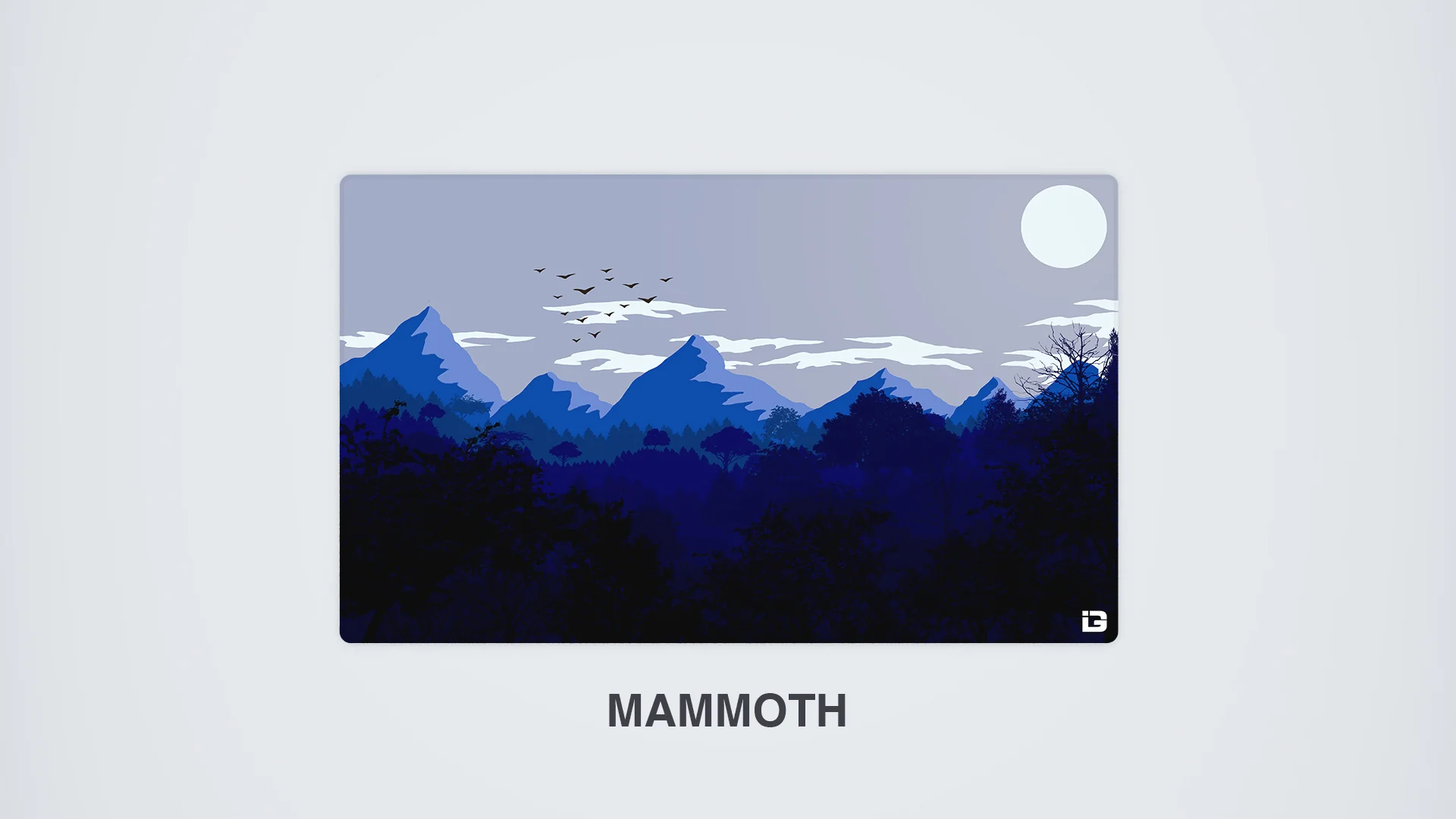 Gulls - Sunset - Image 14