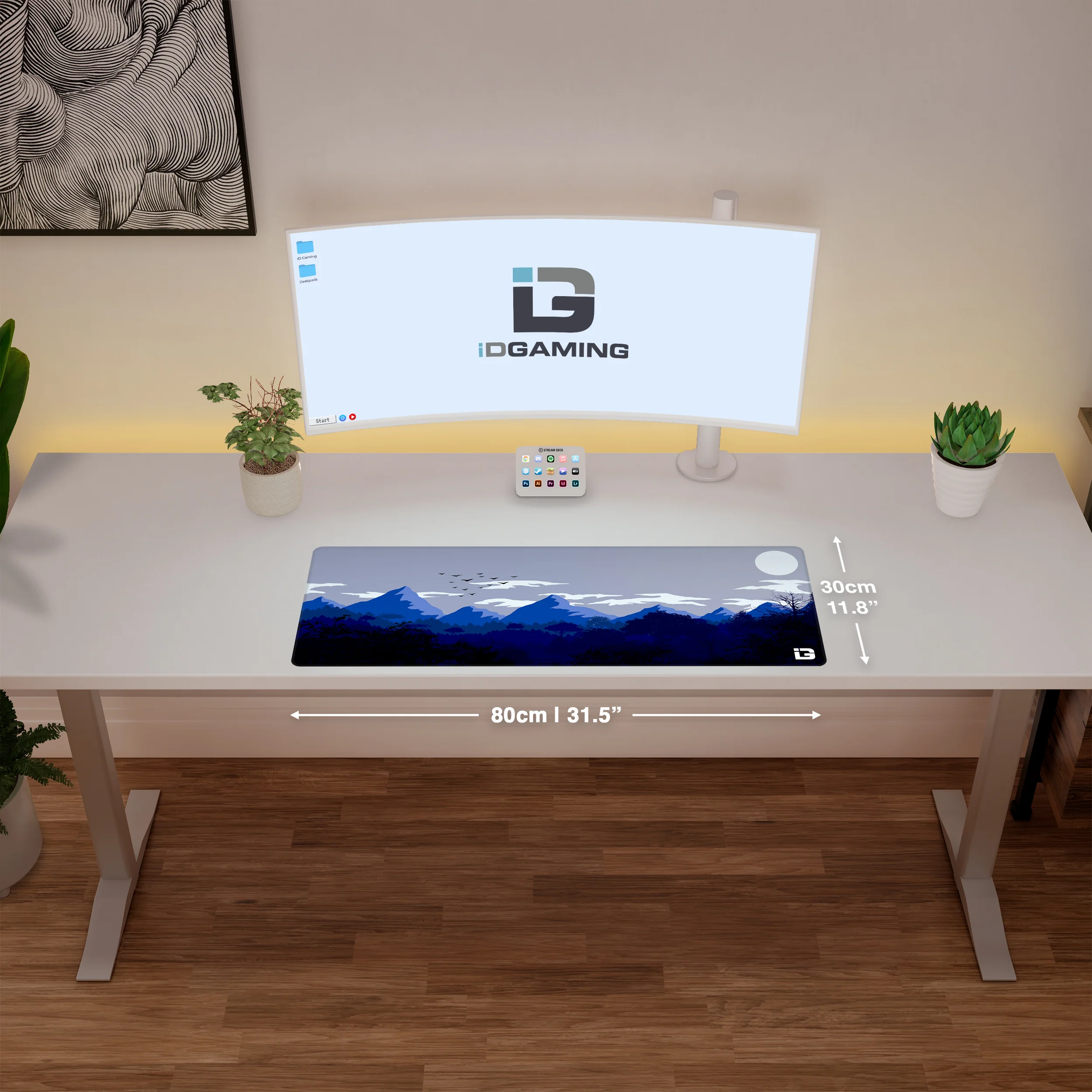 Gulls - Sunset - Image 9