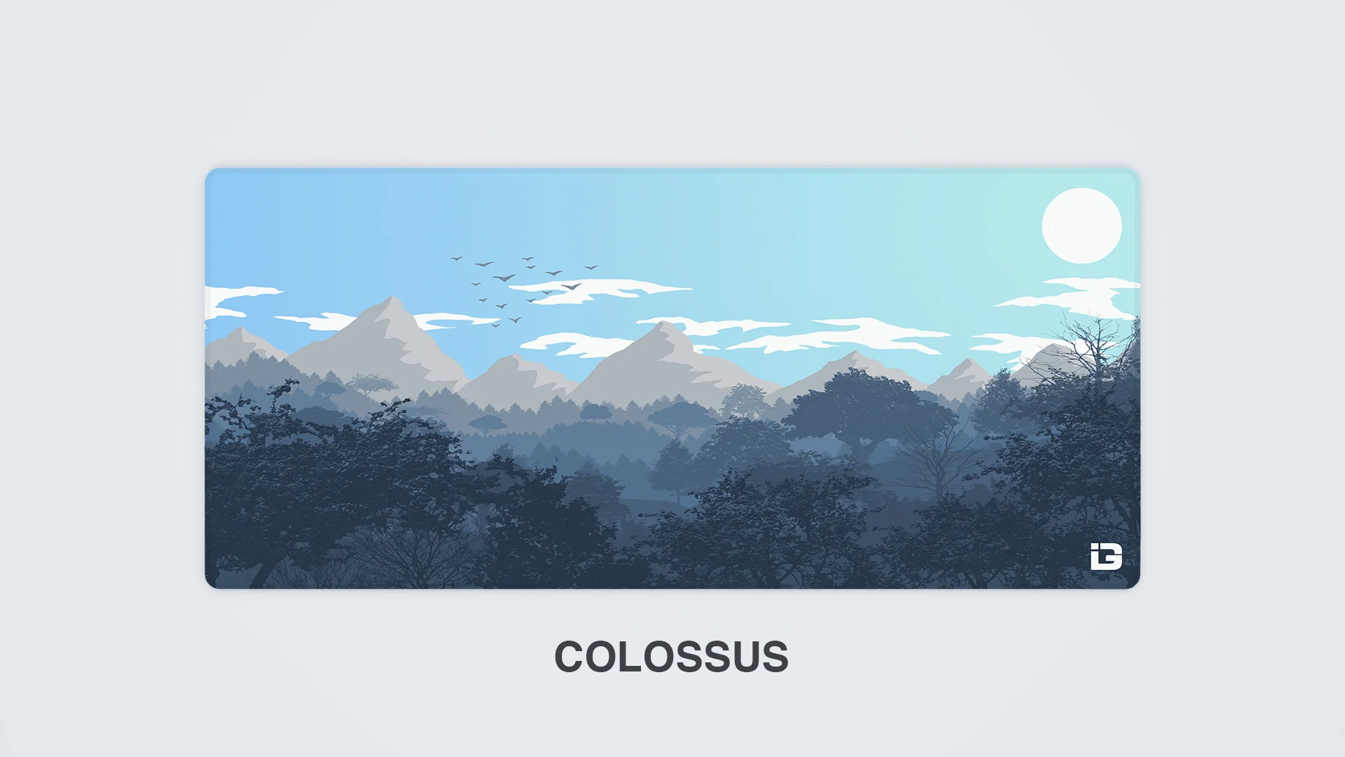 Gulls - Daylight - Image 12