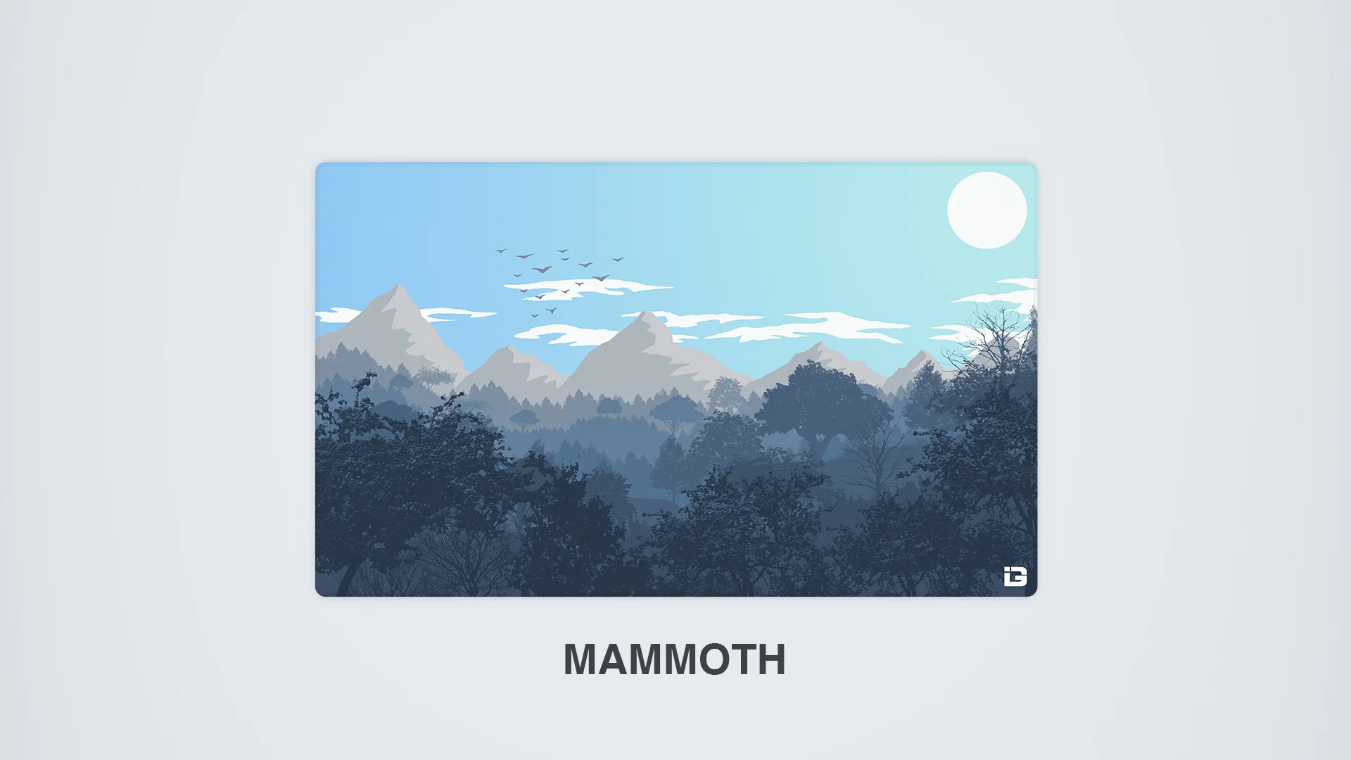 Gulls - Daylight - Image 14