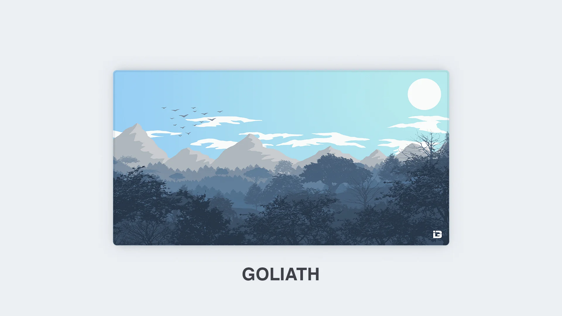 Gulls - Daylight - Image 17