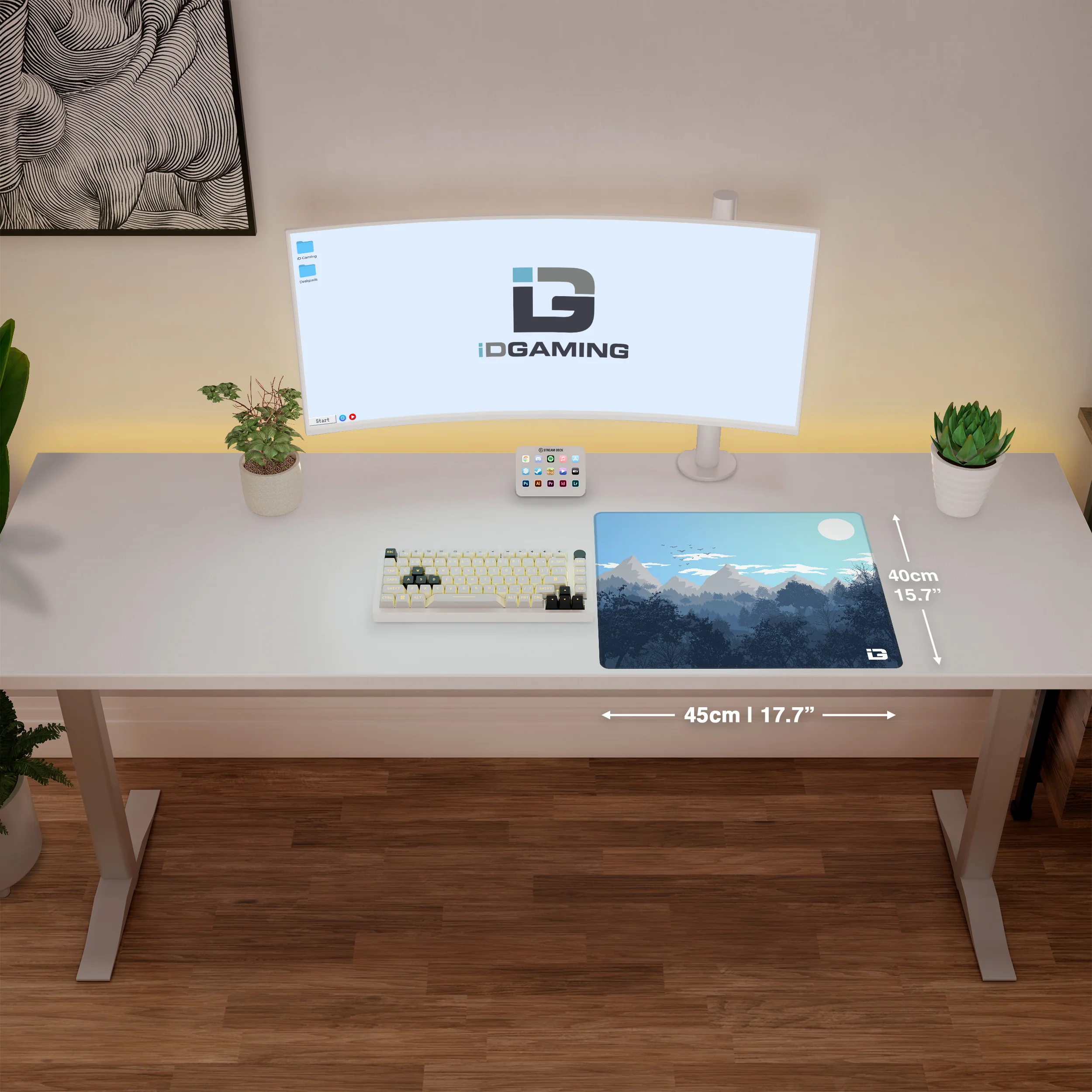 Gulls - Daylight - Image 5