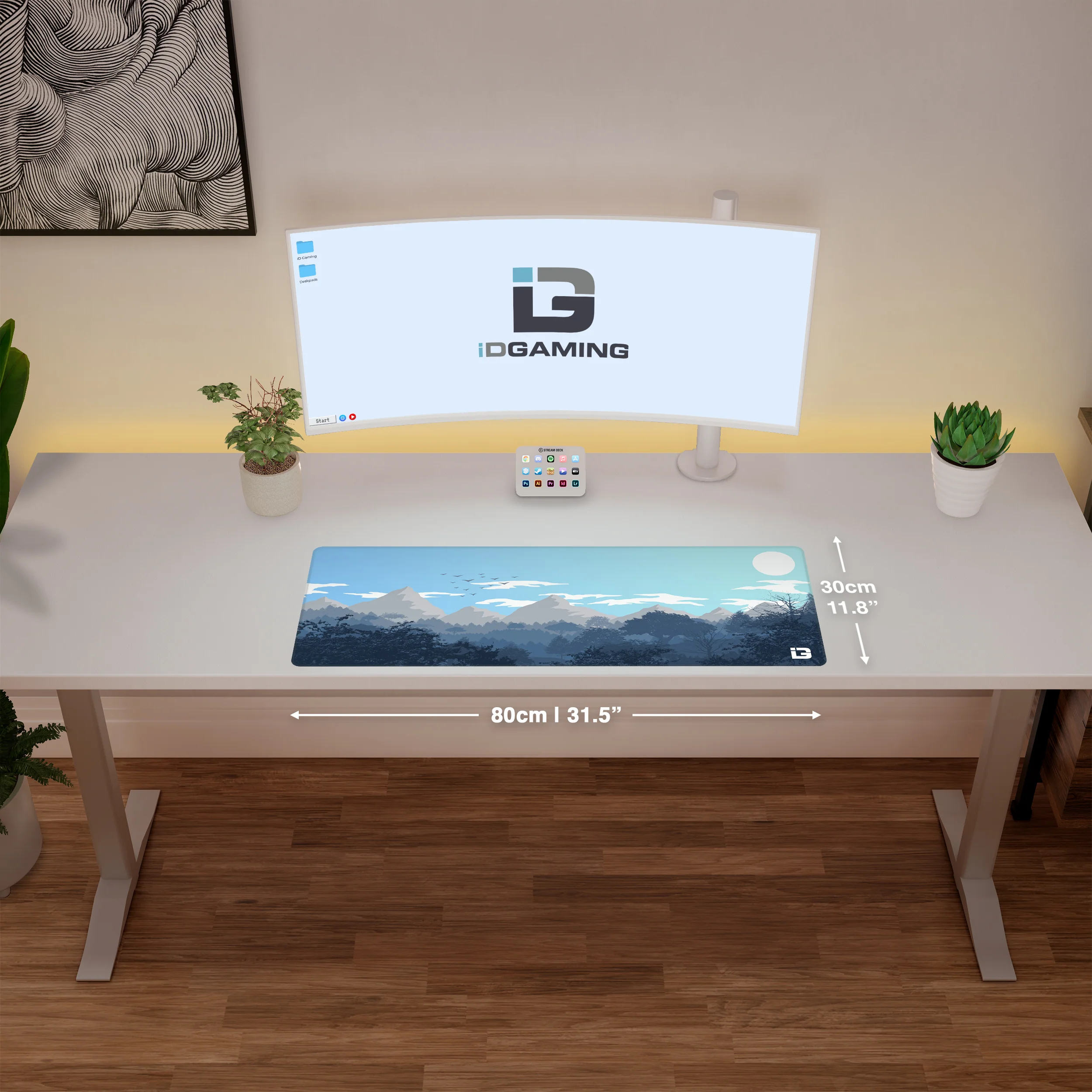 Gulls - Daylight - Image 9