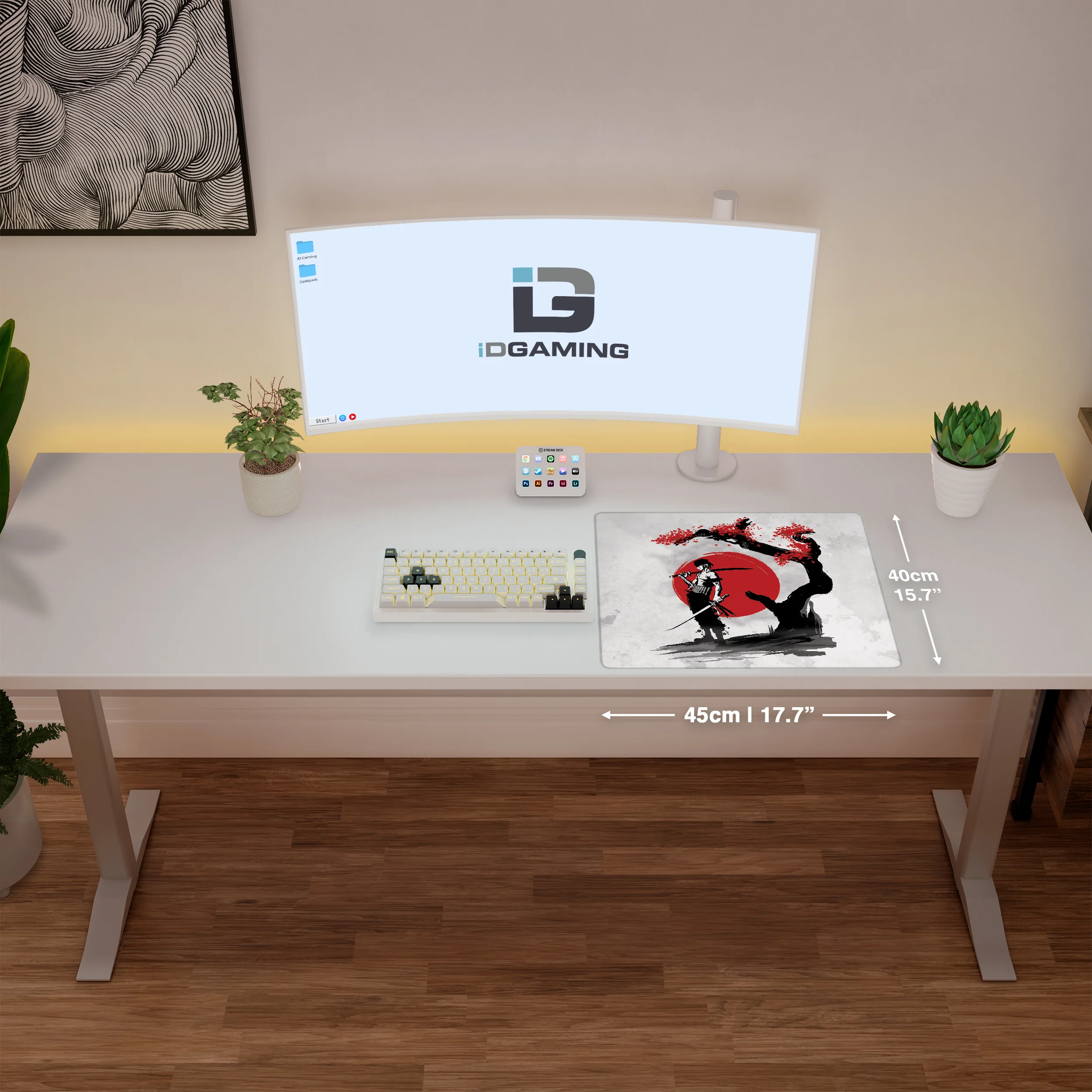 Swordsman Pirate - Image 5